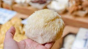 Lion's Mane Mushroom